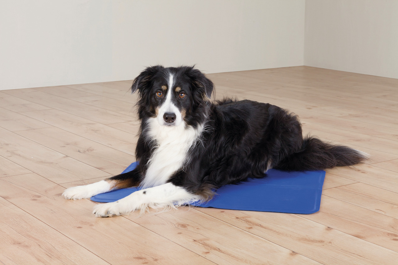 TRIXIE Kühlmatte für Hunde, blau, ideal für mittelgroße bis große Hunde, bietet an heißen Tagen angenehme Abkühlung.