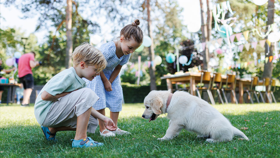 Zwei kleine Kinder mit einem Golden Retriever Welpen auf einer Wiese