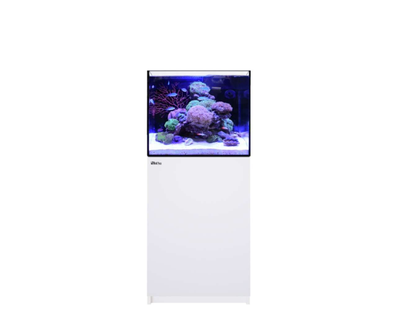 Das Bild zeigt das Red Sea MAX Nano Aquarium, ein hochwertiges Komplettsystem für Meerwasseraquarien. Es ist speziell für Aquaristik-Enthusiasten konzipiert und bietet eine kompakte Größe mit modernem Design. Das Aquarium enthält lebende Korallen und Fisc