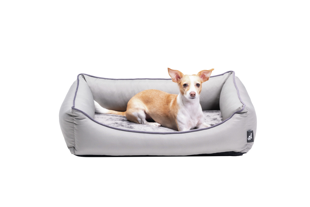 Ein kleines, beiges Hundebett der Marke Allpets, geeignet für kleine Hunderassen. Das Bett ist rechteckig, gepolstert und in einer hellgrauen Farbe gehalten. Es bietet eine weiche Liegefläche mit einem kuscheligen Bezug, ideal für den Komfort und die Ents