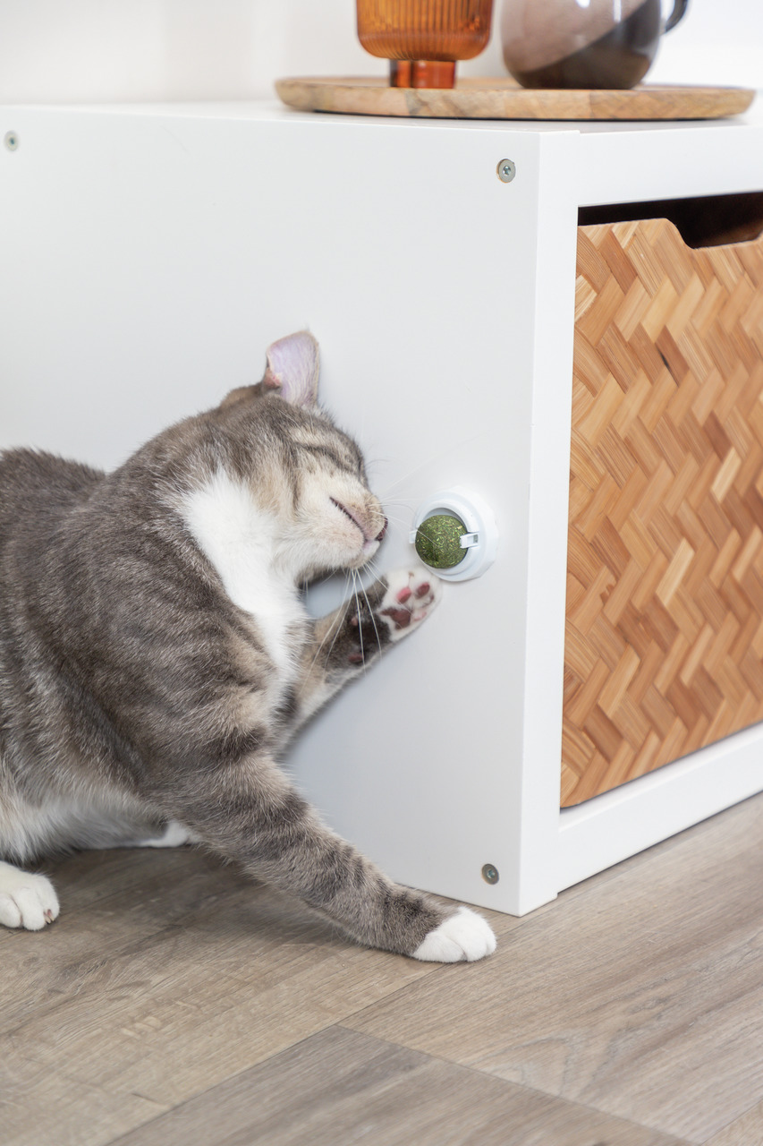 TRIXIE Katzenminze Ball mit Halterung Ø5 cm