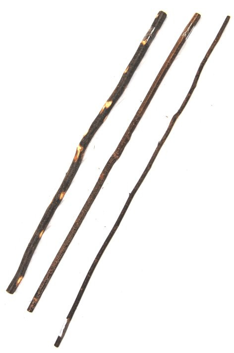 Ollesch Kauhölzer für Hunde, 4 Stk., Zahnpflege & Beschäftigung, nat. Holzoptik, versch. Längen, EAN: 4038964221465.