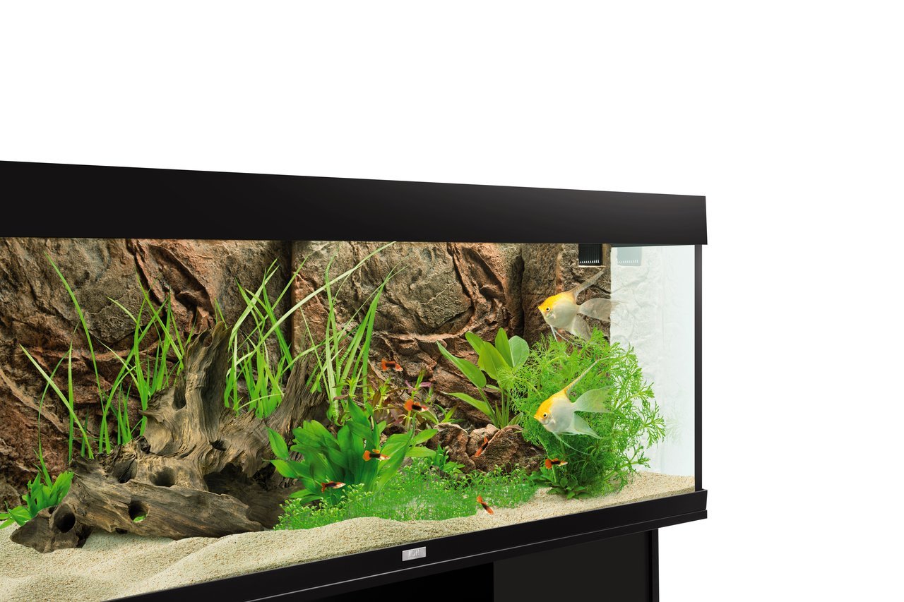 Das Bild zeigt ein hochwertiges Aquarium der Marke JUWEL, Modell Vision 180, mit einer gebogenen Frontscheibe für eine optimale Sicht. Es ist für Aquaristik-Enthusiasten geeignet und bietet Platz für Fische und Pflanzen. Das Aquarium ist mit einer natürli