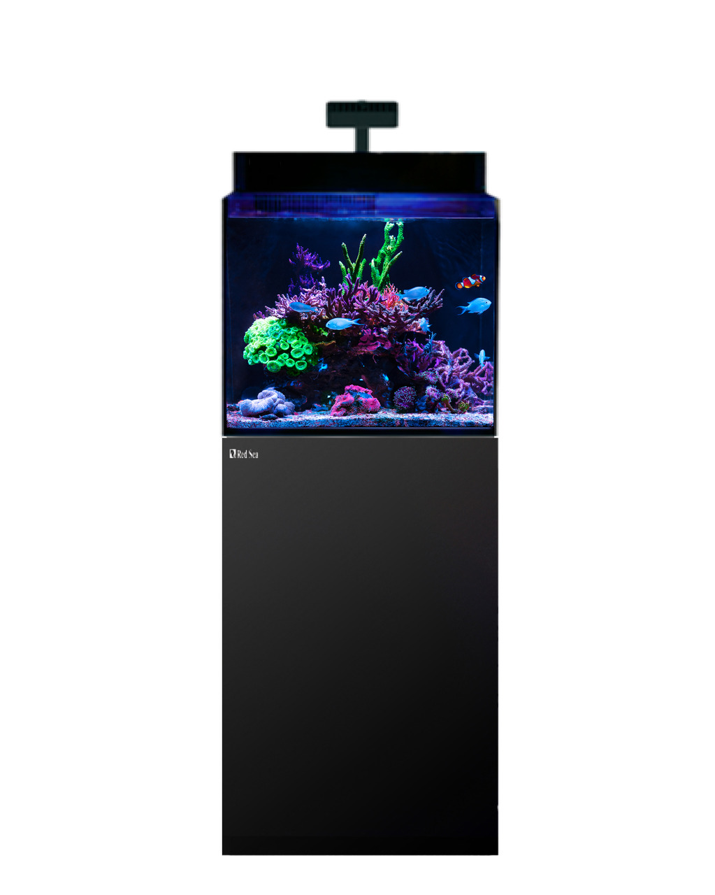 Red Sea MAX NANO Aquarium, Komplettsystem f. Meerwasser, ideal f. Aquaristik-Fans, kompakt, modernes Design, inkl. Beleuchtung.