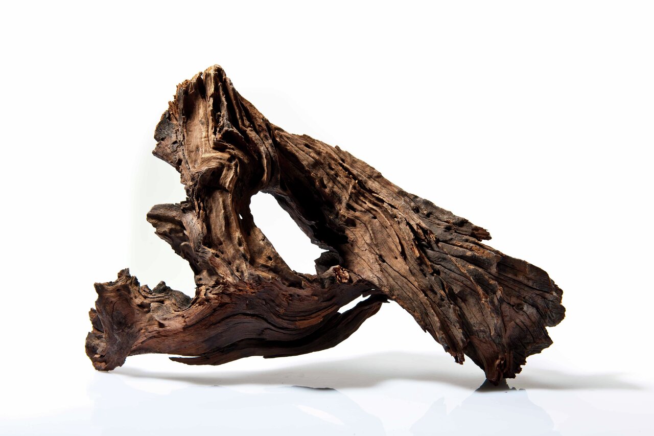 Ein großes, natürlich geformtes Stück Mangrovenholz der Marke Aquadeco, geeignet für Aquarien und Terrarien. Das Holz hat eine dunkle, rustikale Oberfläche mit einzigartigen Verzweigungen und Hohlräumen, ideal als Dekoration oder Versteck für Fische und R