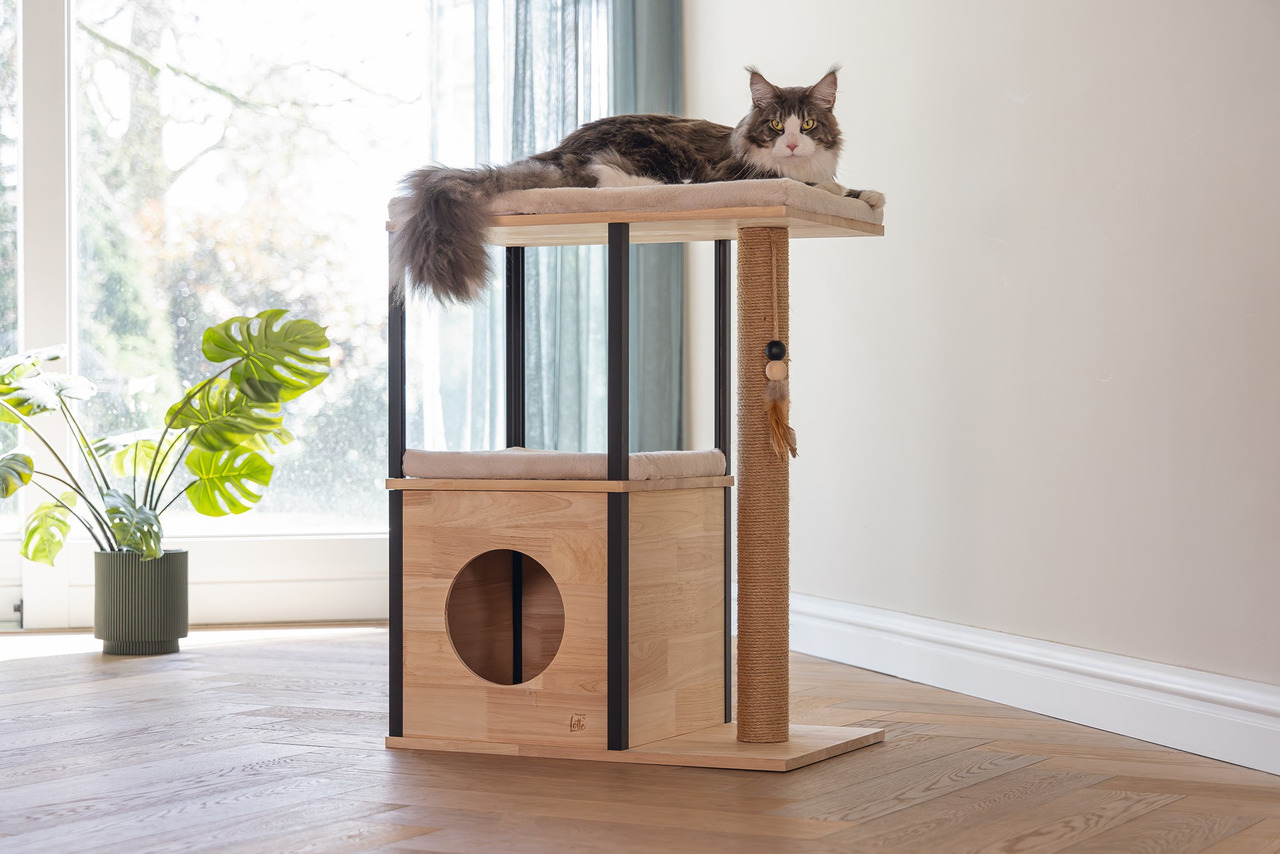 Kratzbaum „Designed by Lotte“ für Katzen, Holz, modernes Design, Höhle, Liegefläche, Sisalstamm, Komfort & Aktivität, für alle Rassen.