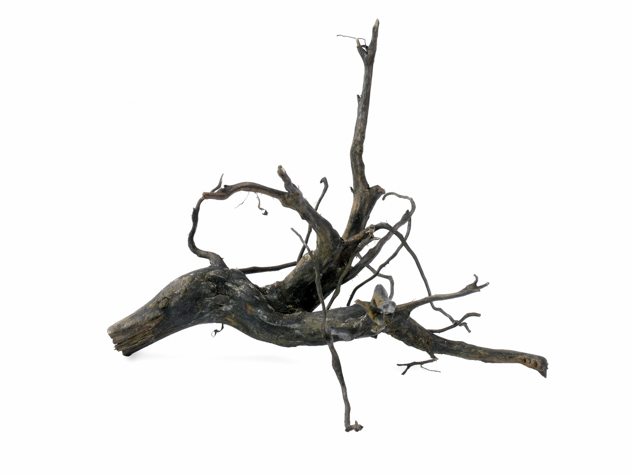 Colorstone Naturholz, für Aquarien/Terrarien, Zielgruppe: Aquaristik-/Terraristik-Fans, dekorativ, verzweigt, rau, dunkel.