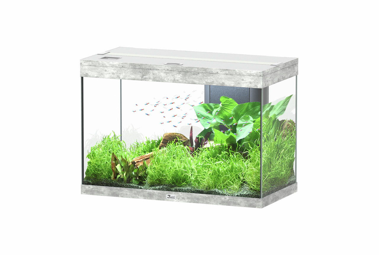 Aquatlantis Style LED 60 Aquarium, rechteckig, grau, für Aquaristik-Fans, inkl. Pflanzen, Steine, Neonfische, stilvoll für Wohnräume.
