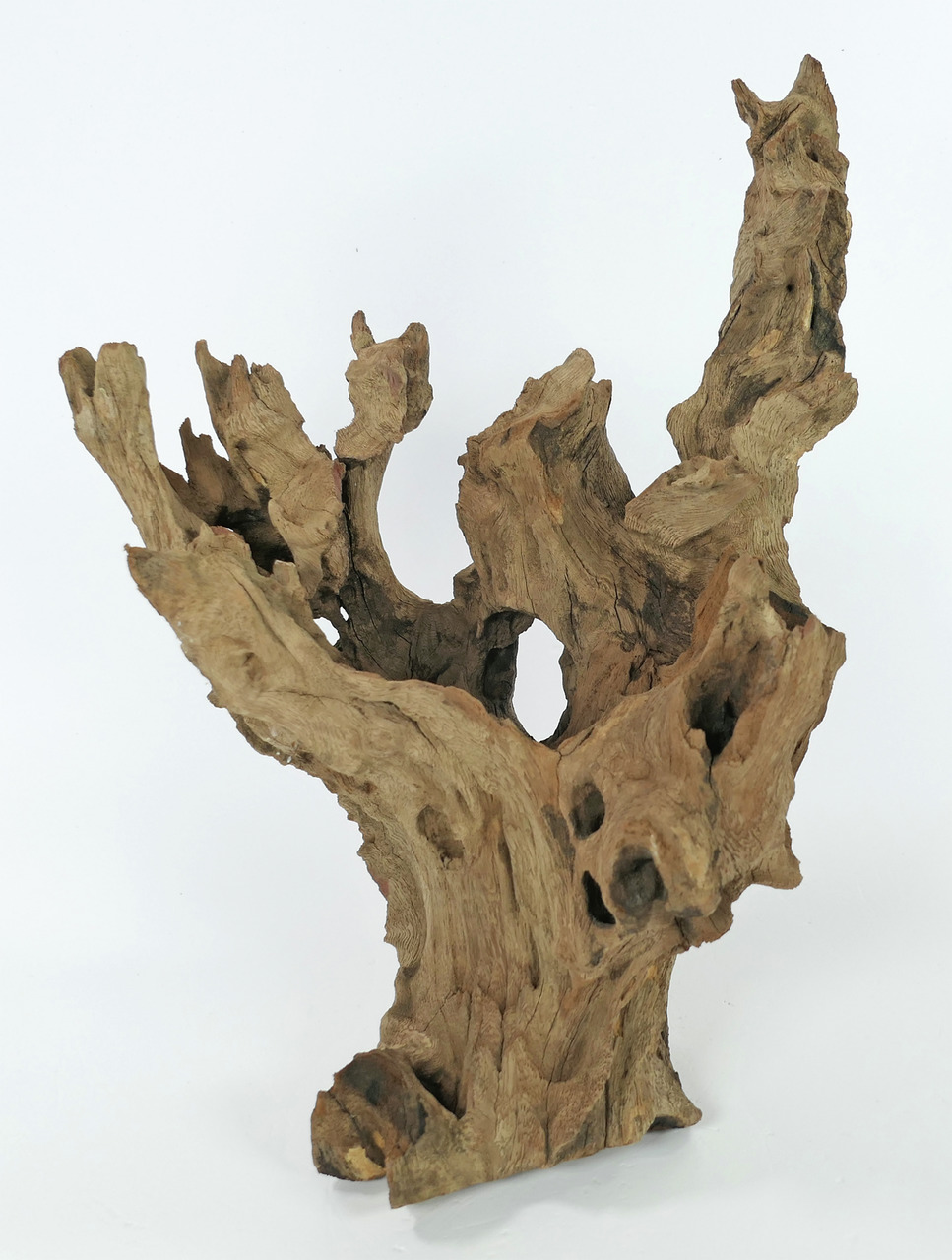 ORBIT Treibholz, naturbelassen, für Aquarien-Terrarien, ideal als Versteck-Kletterhilfe für Fische, Reptilien, Amphibien.