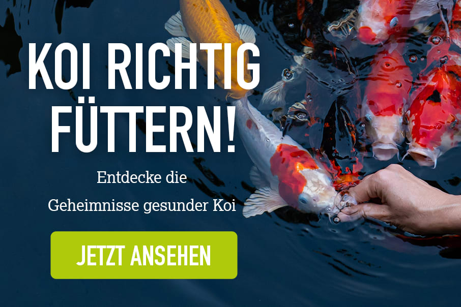gleitmittel bei kinderwunsch FERTI·LILY Kinderwunsch Gleitmittel main image 1