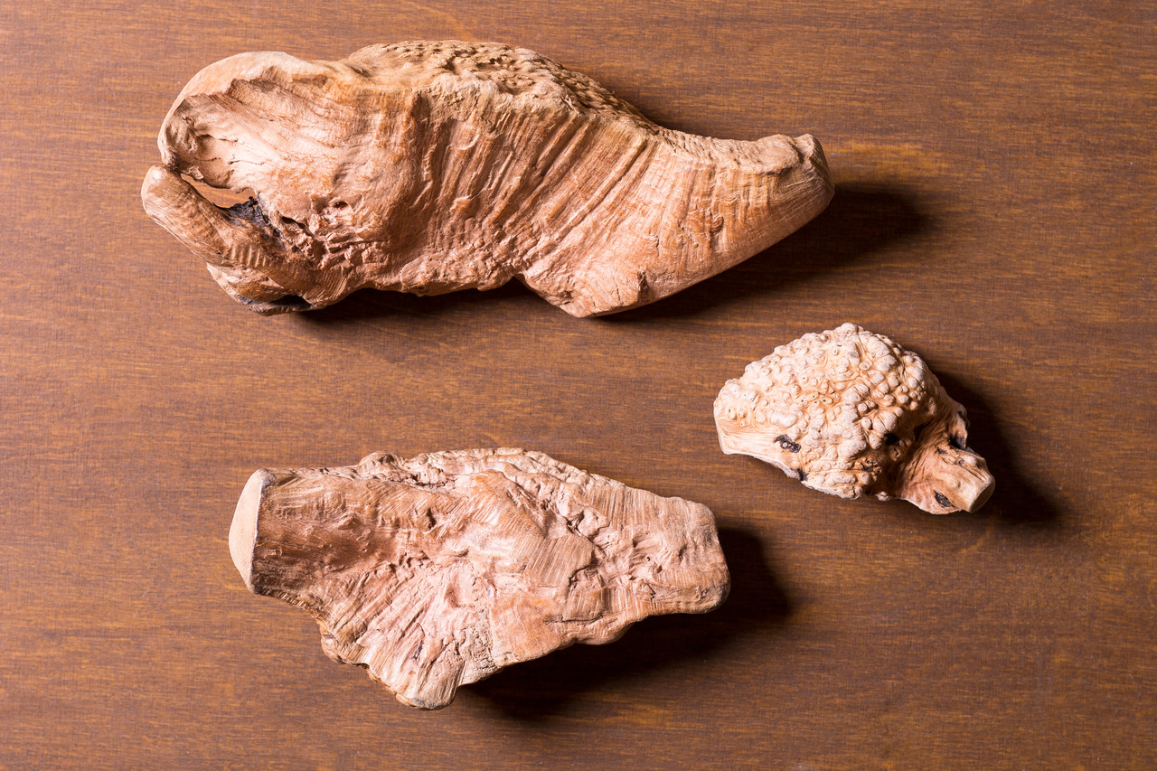 Lottis Häppchen Kauwurzeln für Hunde, Holz, Zahnpflege, langlebig, versch. Größen, Beschäftigung, ideal für alle Rassen.