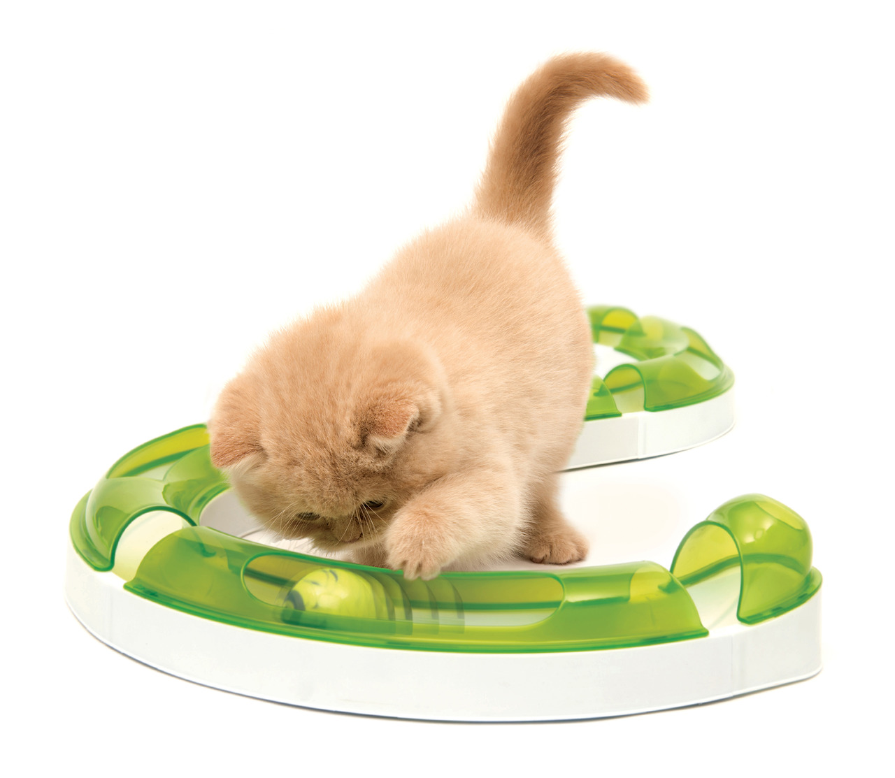 Catit Senses 2.0 Spielschienen-Set, Katzen, interaktives Spielzeug, stimuliert Sinne, gegen Langeweile, grün-weiß.
