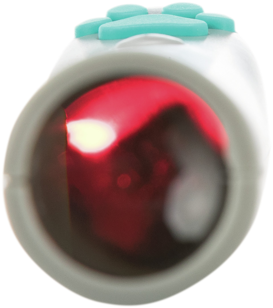 Das Bild zeigt den TRIXIE LED-Pointer für Katzen, ein interaktives Spielzeug für Haustiere. Der weiße Pointer mit türkisfarbenen Pfotentasten projiziert ein rotes Licht, das Katzen zum Spielen und Jagen animiert. Ideal für Katzenbesitzer, die ihre Tiere b