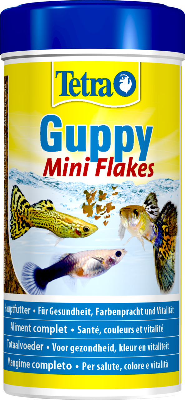 Tetra Guppy Mini Flakes, Hauptfutter für Guppys, fördert Gesundheit, Farbenpracht & Vitalität, 100 ml, Flocken.