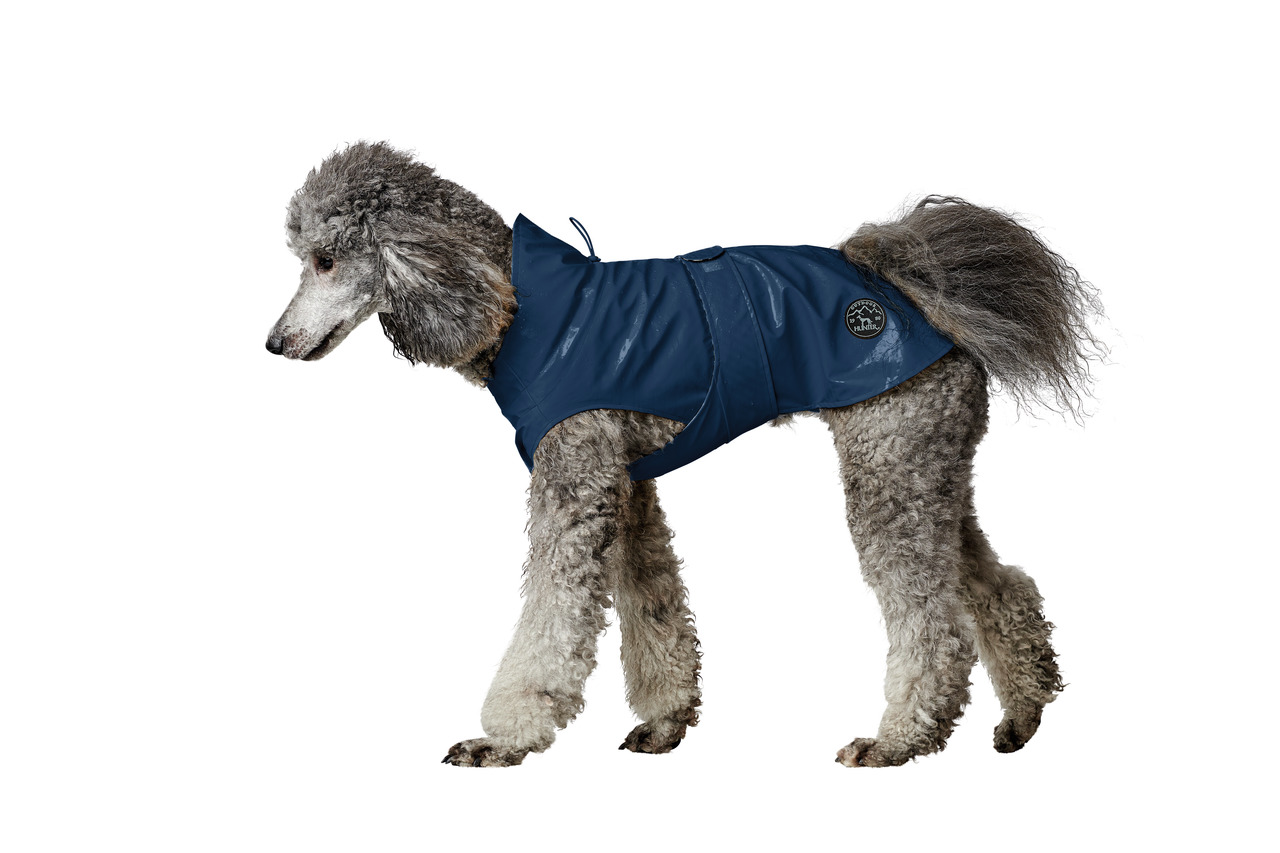 macs hundefutter fressnapf MACs Dog Monoprotein Frisches Pferd main image 1