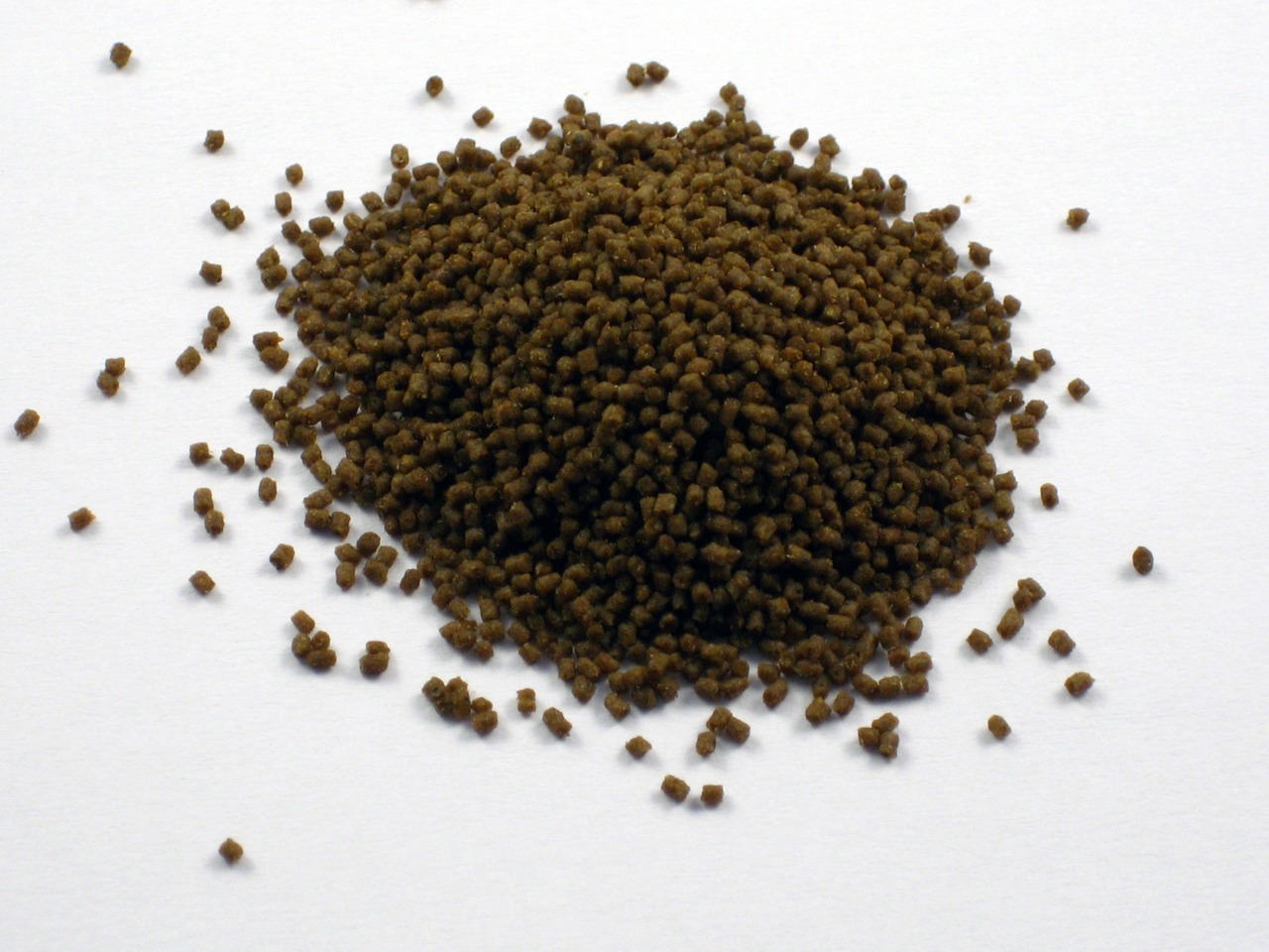 Dr. Bassleer Biofish Food Regular, hochwertiges Pellet-Fischfutter für Aquarienfische, braun, ausgewogene Ernährung, Menge nicht sichtbar.