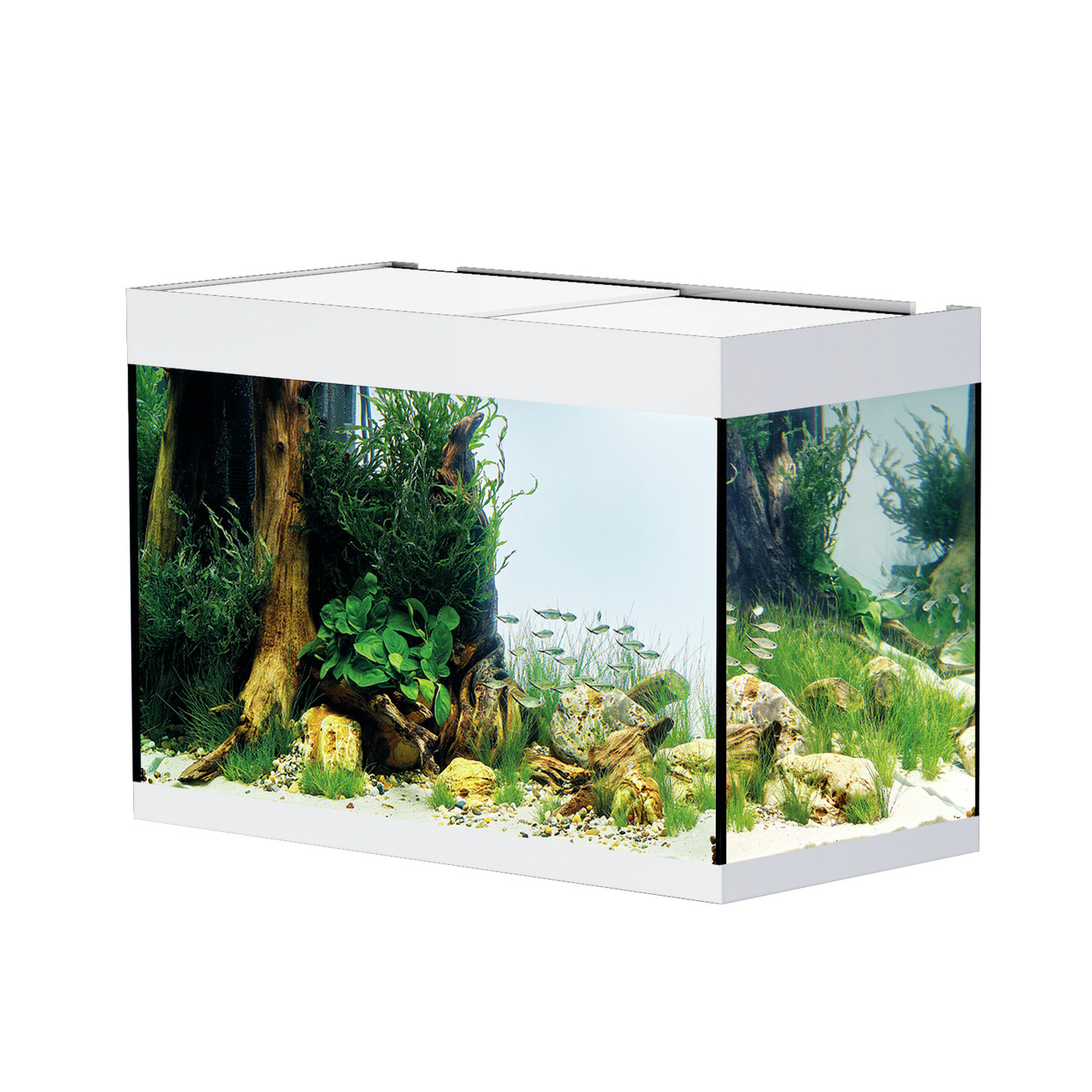 Oase HighLine 200 Aquarium, für Süßwasserfische, modernes Design, weißer Rahmen, naturnahe Umgebung mit Pflanzen, Steinen & Holz.