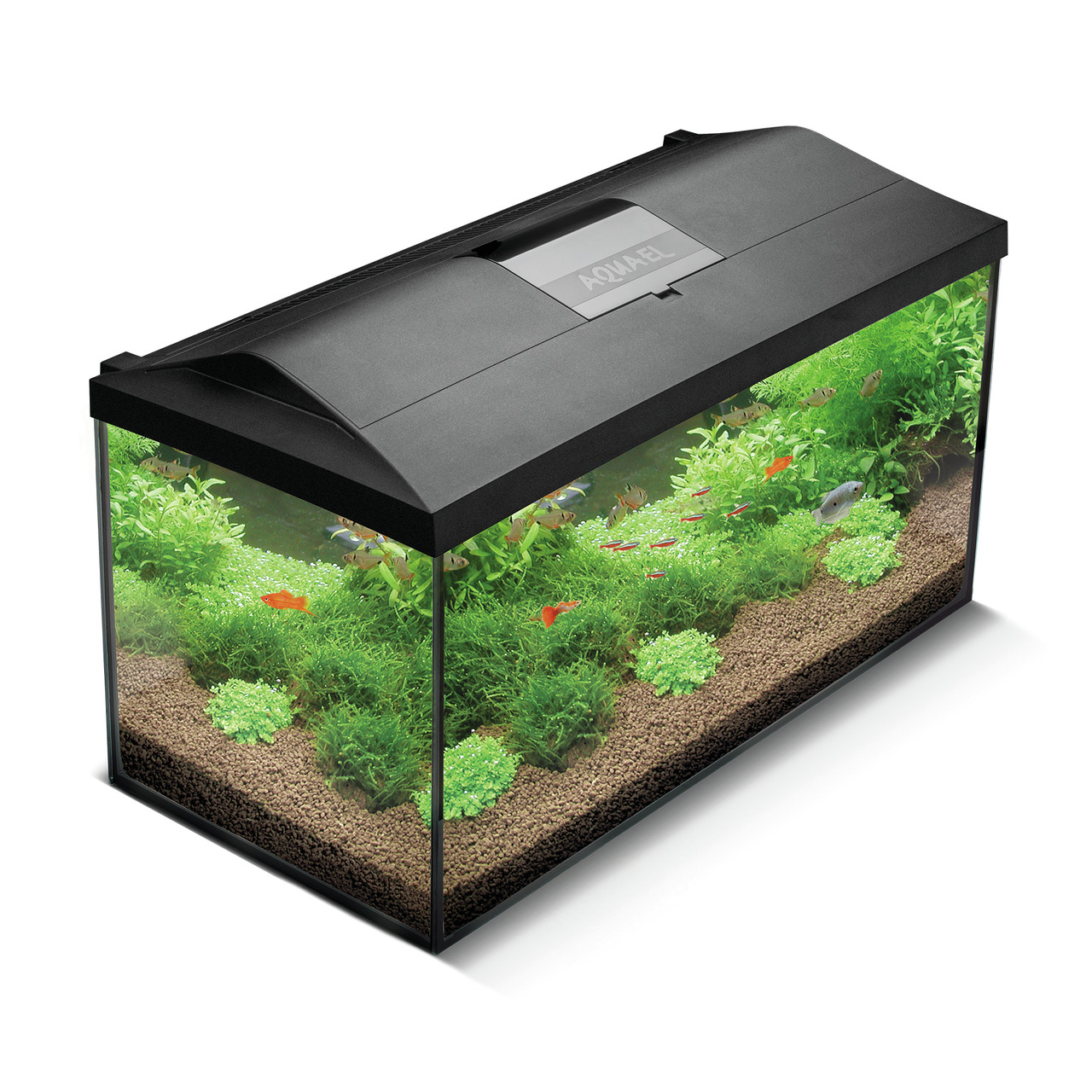 Das Bild zeigt ein rechteckiges Aquarium der Marke AQUAEL, Modell Leddy 60, mit schwarzem Deckel und integrierter LED-Beleuchtung. Es ist für Aquaristik-Enthusiasten geeignet und zeigt eine üppige Unterwasserlandschaft mit grünen Pflanzen, Kiesboden und v