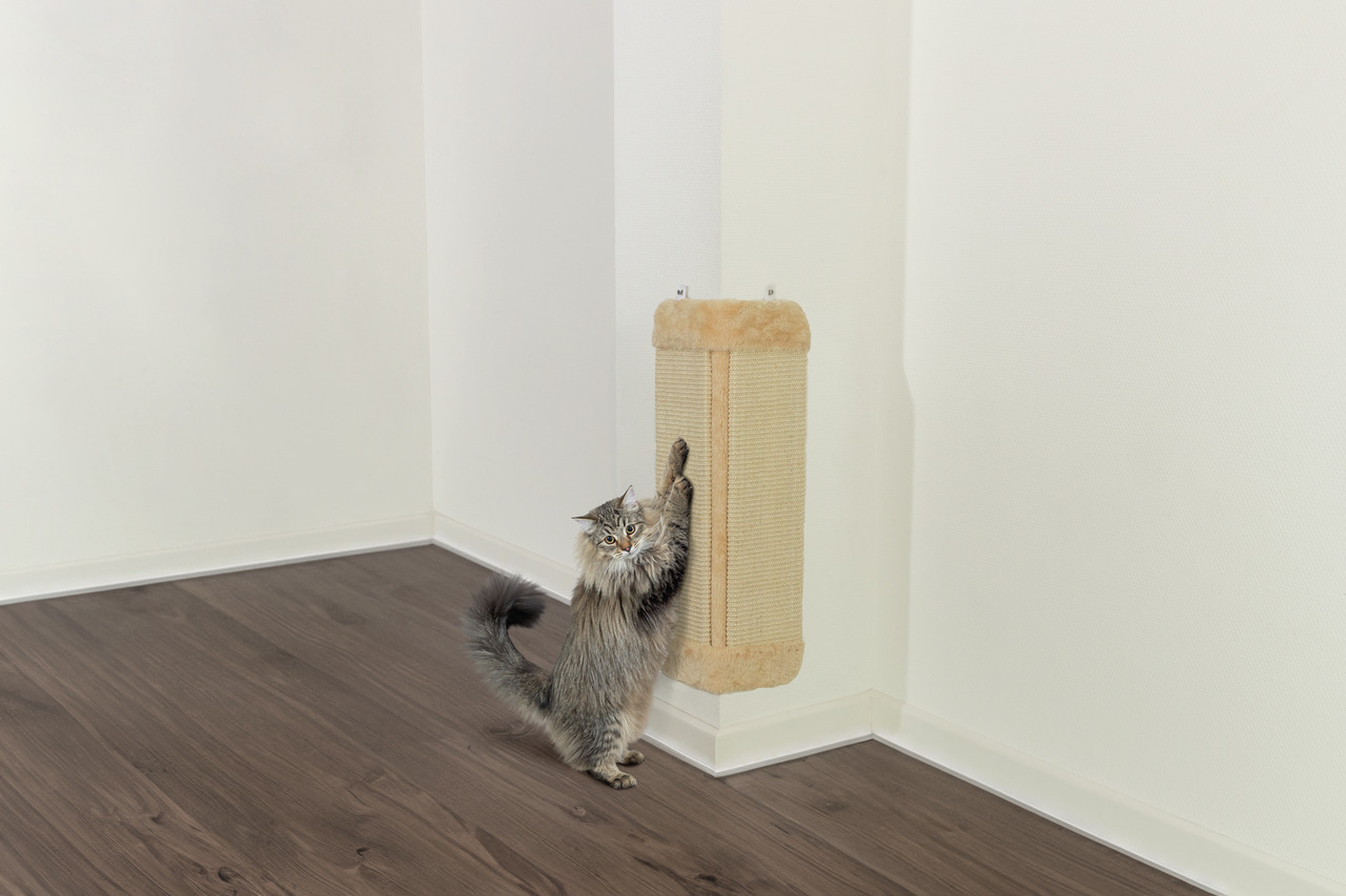 Das Bild zeigt eine Katze, die an einem TRIXIE Kratzbrett für Katzen kratzt, das an einer weißen Wand montiert ist. Das Produkt ist für Katzen aller Altersgruppen geeignet und besteht aus Sisal, das die Krallenpflege unterstützt. Es ist beige und rechteck