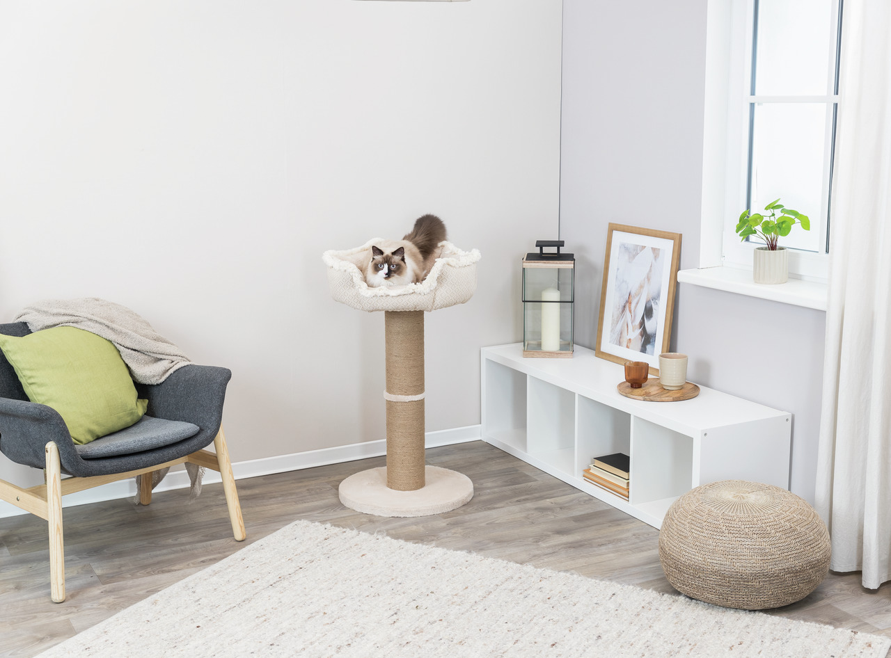 TRIXIE Kratzbaum für Katzen, Sisal-Säule & Plüsch-Liegefläche, ideal für Entspannung & Krallenpflege, Zielgruppe: Katzen.