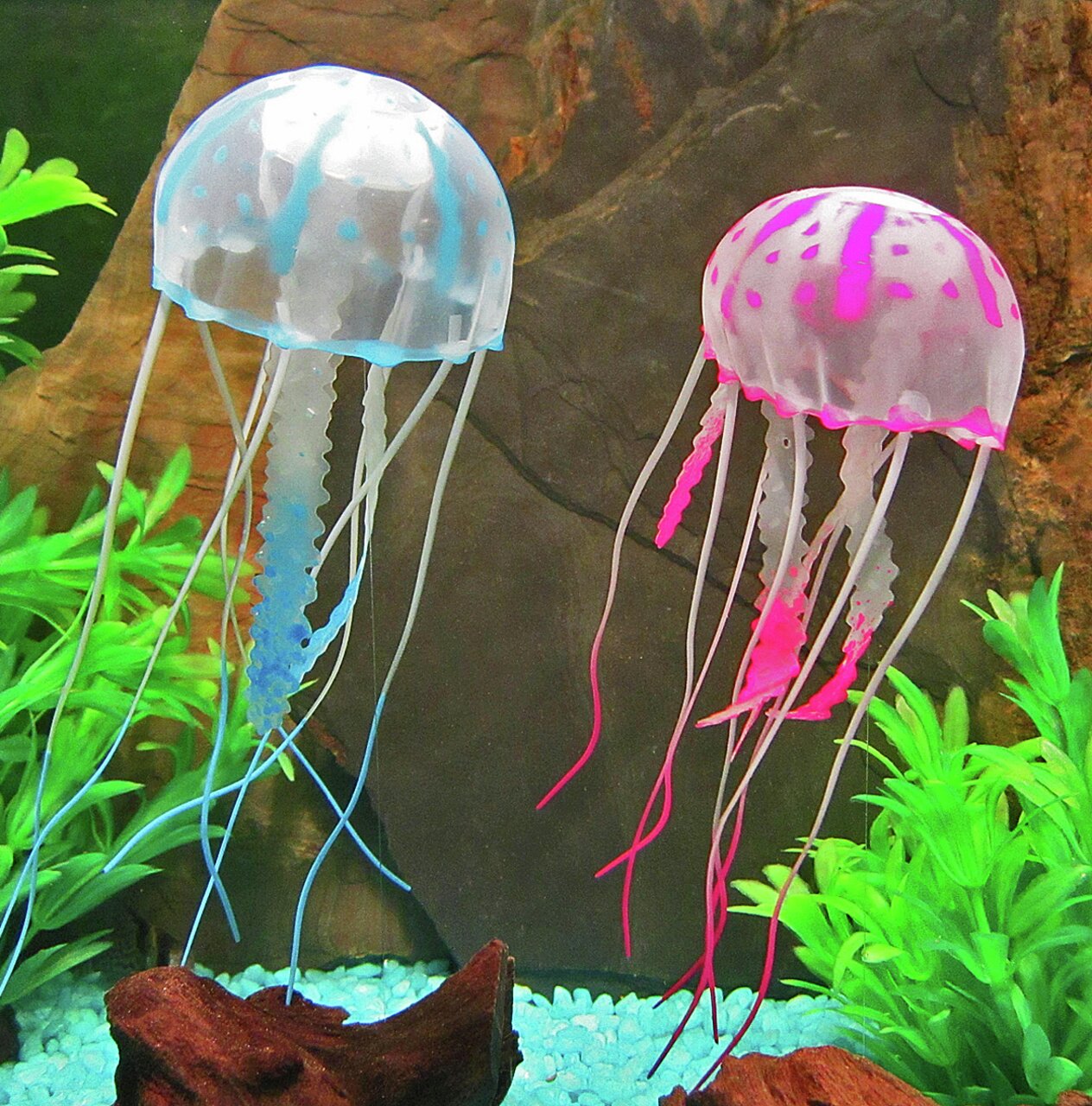 Dekorative, realistisch gestaltete, künstliche Quallen in Blau und Pink, schwimmend in einem bepflanzten Aquarium mit Holzdeko.