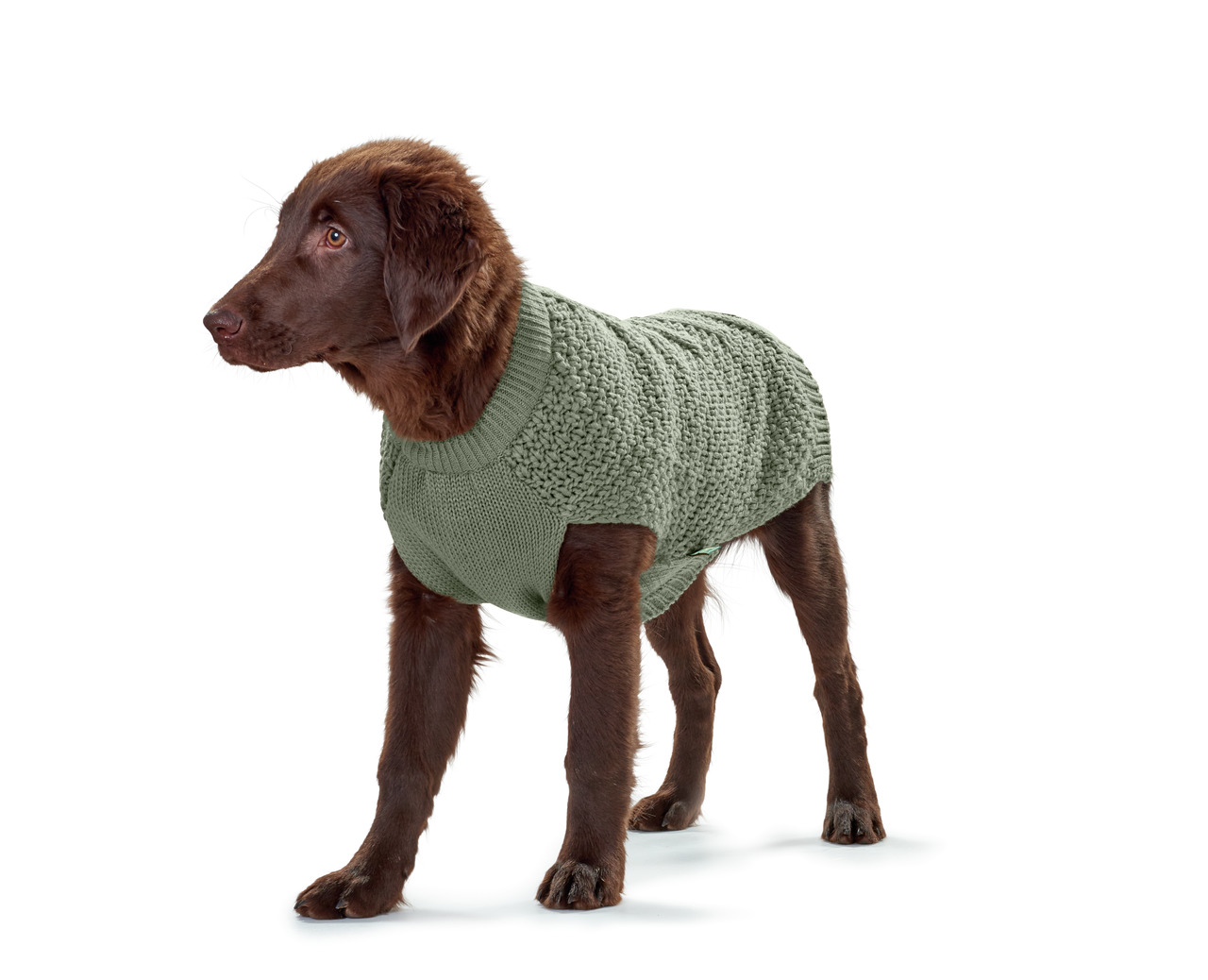 HUNTER Hundepullover, Grünton, für mittelgroße-große Hunde, warm & bequem an kalten Tagen, stilvolles Design, hochwertige Qualität.