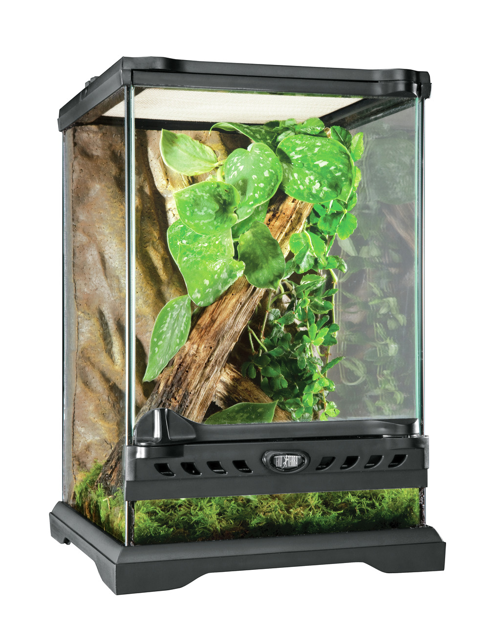 Exo Terra Glasterrarium, für Reptilien/Amphibien, mit Belüftung, realist. Rückwand, Tür, inkl. Pflanzen, Moos, Holz.