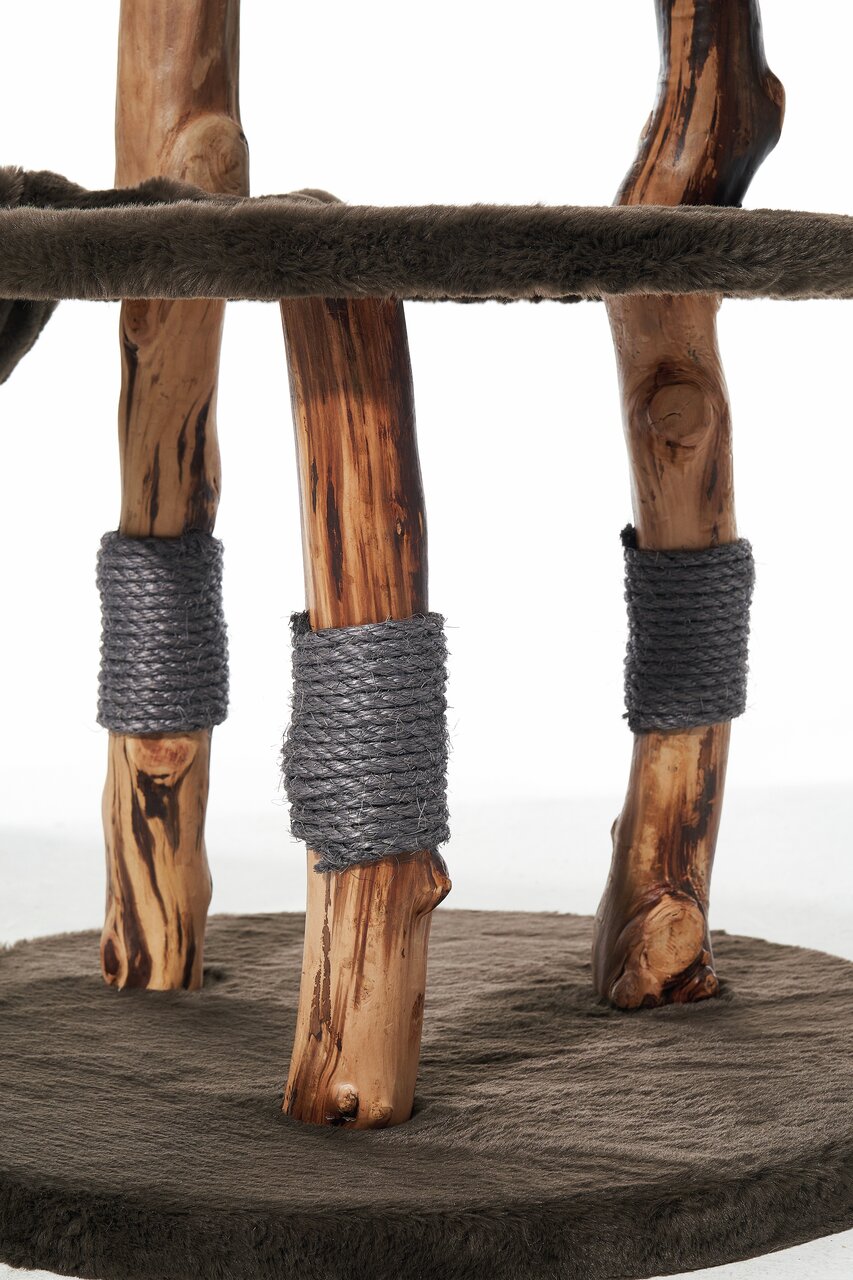 Nobby Kratzbaum für Katzen, Holzstämme mit Sisal, Plüschbasis dunkelgrau, ideal zum Krallenwetzen & Spielen.