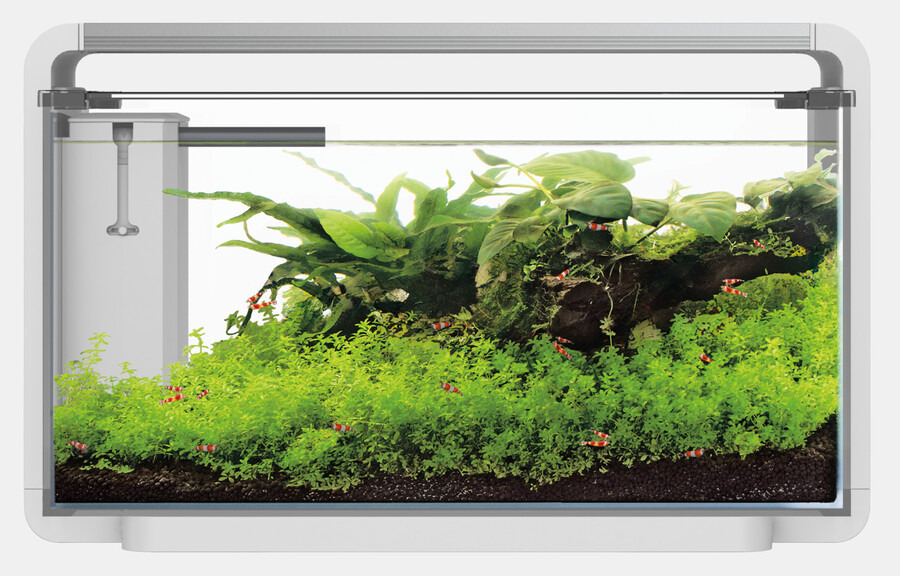 Superfish Scaper Nano-Aquarium, ideal für Garnelenliebhaber, modernes Design, üppige Pflanzen, rote Garnelen, kompakt für kleine Räume.