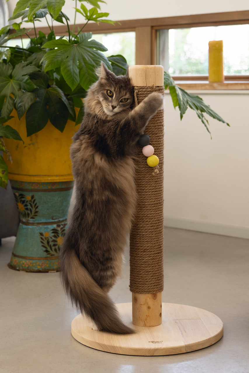 Kratzbaum „Designed by Lotte“ für Katzen, stabiler Sisal-Stamm, runde Holzbasis, bunte Kugeln, ideal für alle Altersgruppen.