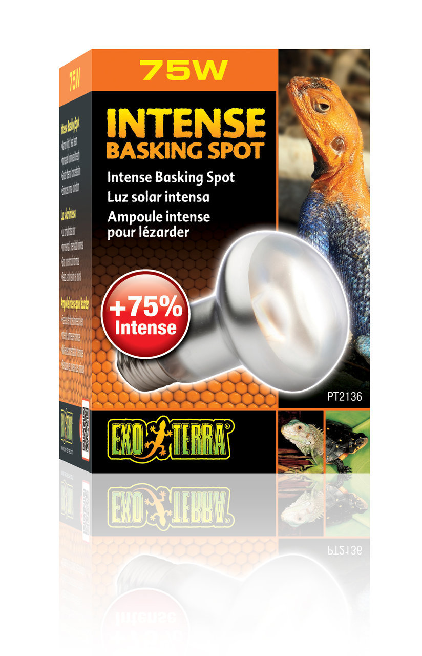 Exo Terra Intense Basking Spot Lampe 75W, für Reptilienhalter, +75% Intensität, ideale Wärmequelle für Reptilien.