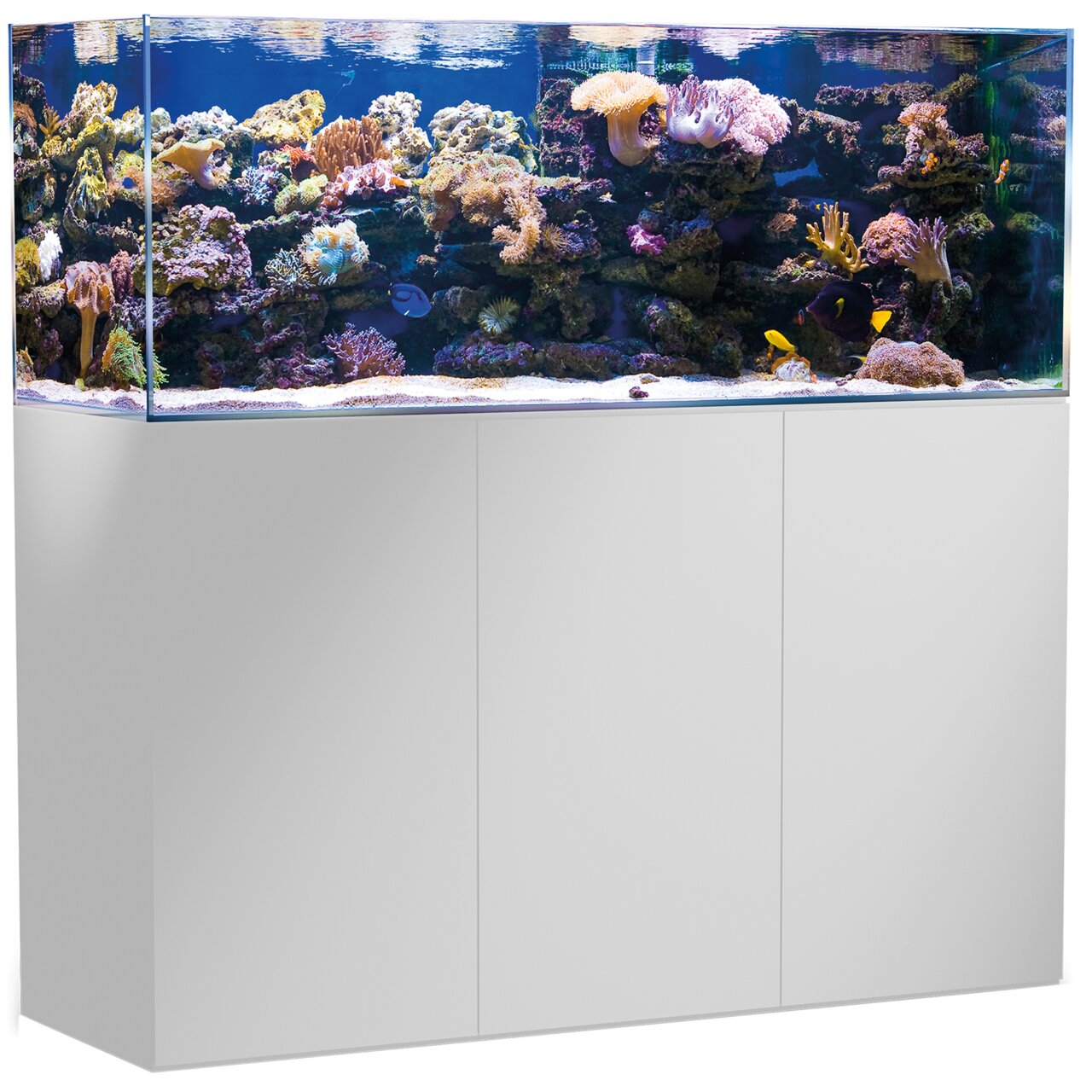 Aqua Medic Armatus 500: Meerwasseraquarium für Salzwasserfische & Korallen, modernes Design, weißer Unterschrank, hochwertig.