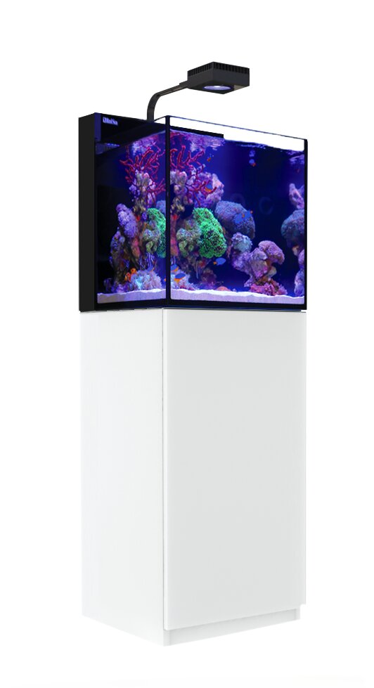 Red Sea MAX NANO Aquarium, Komplettsystem f. Meerwasser, f. Aquaristik-Enthusiasten, inkl. Korallen & Fische, kompakt, weißer Schrank.