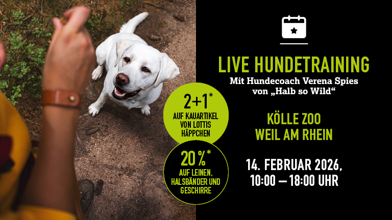140226 Hundetraining Weilamrhein Mobile 768x432px