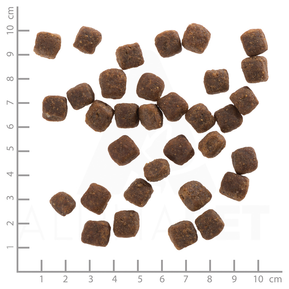Wolfsblut Trockenfutter Wildfleisch für ausgewachsene Hunde, braune Kroketten, würfelförmig, Größe 1-10 cm.