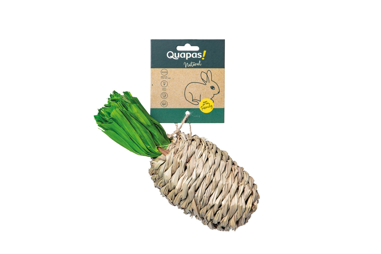 Quapas! Natural Spielzeug für Kleintiere (Kaninchen), Ananas-Form, aus geflochtenem Gras & Blättern, fördert Kauverhalten, umweltfreundlich.