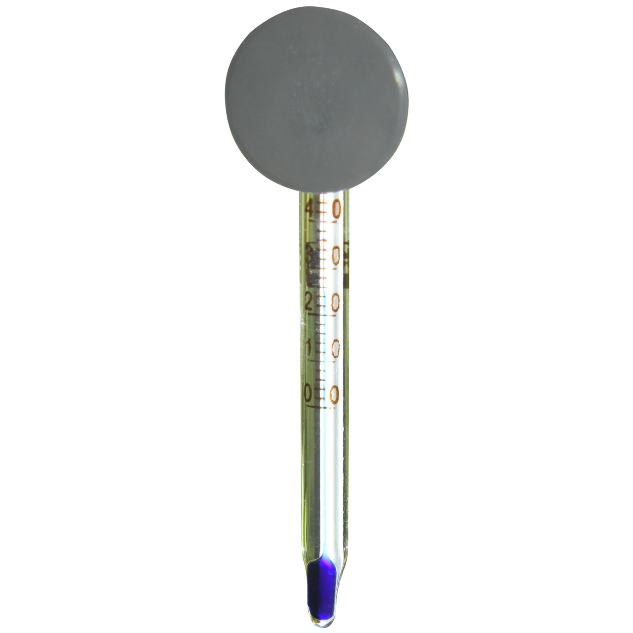 JBL Aquariumthermometer, präzises Glasthermometer für Aquarienbesitzer, 0-40°C, einfache Befestigung, ideal zur Wassertemp.-Überwachung.