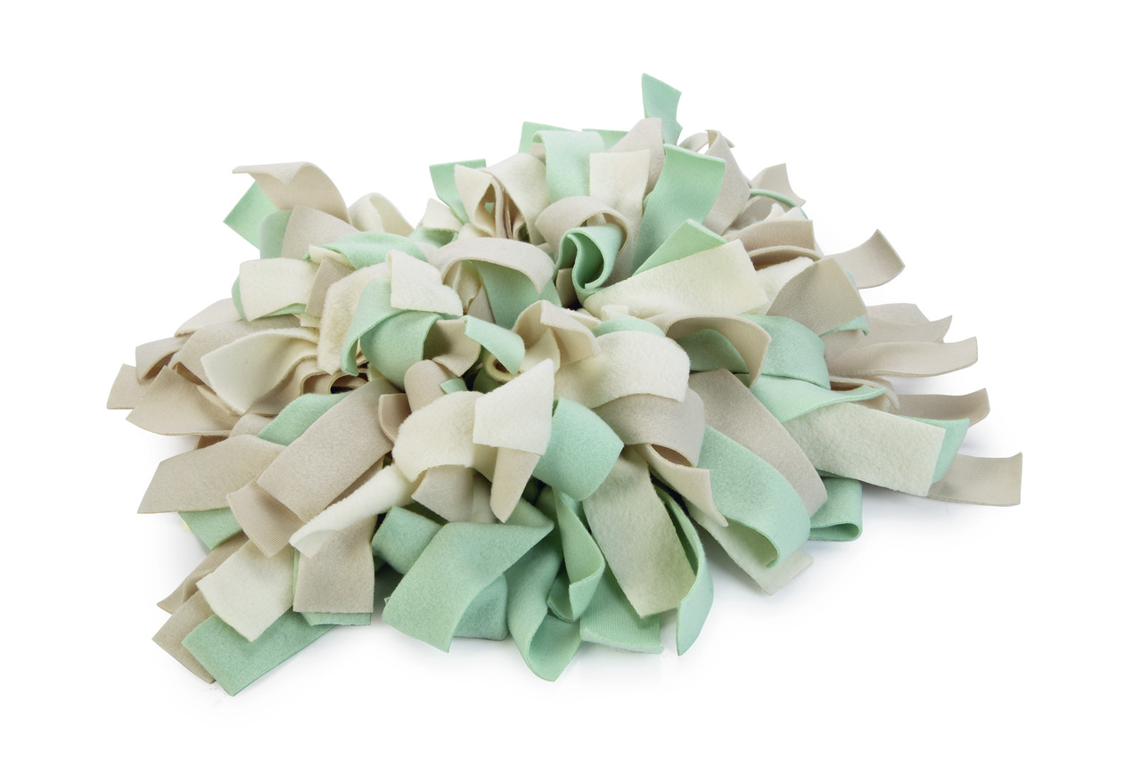 Beeztees Schnüffelmatte für Hunde, interaktives Spielzeug, Beige/Grün, fördert Schnüffel-/Suchfähigkeiten, mentale Stimulation.