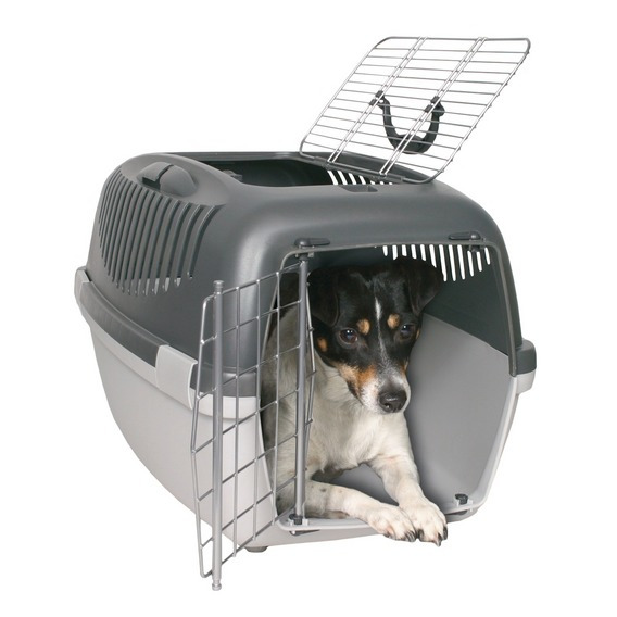 Das Bild zeigt eine TRIXIE Transportbox für Haustiere, geeignet für kleine Hunde oder Katzen. Die robuste Box ist aus grauem Kunststoff gefertigt und verfügt über eine Metalltür sowie eine zusätzliche Öffnung oben. Ein kleiner Hund sitzt entspannt in der 