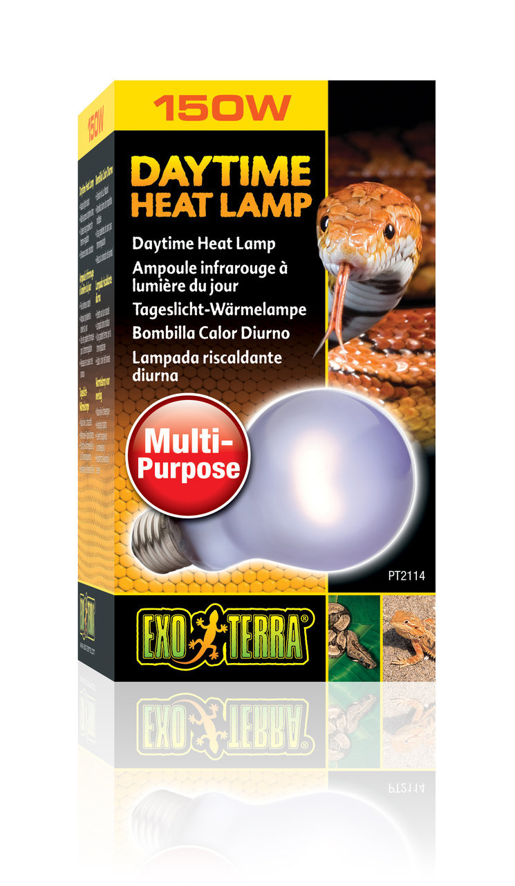 Exo Terra Daytime Heat Lamp 150W, für Reptilien-Terrarientiere, Tageslicht-Wärmelampe, unterstützt thermisches Wohlbefinden.