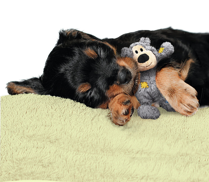 KONG Cozie Hundespielzeug, grau, Plüschtier-Design, für Hunde, ideal für Welpen, bietet Komfort & Unterhaltung.