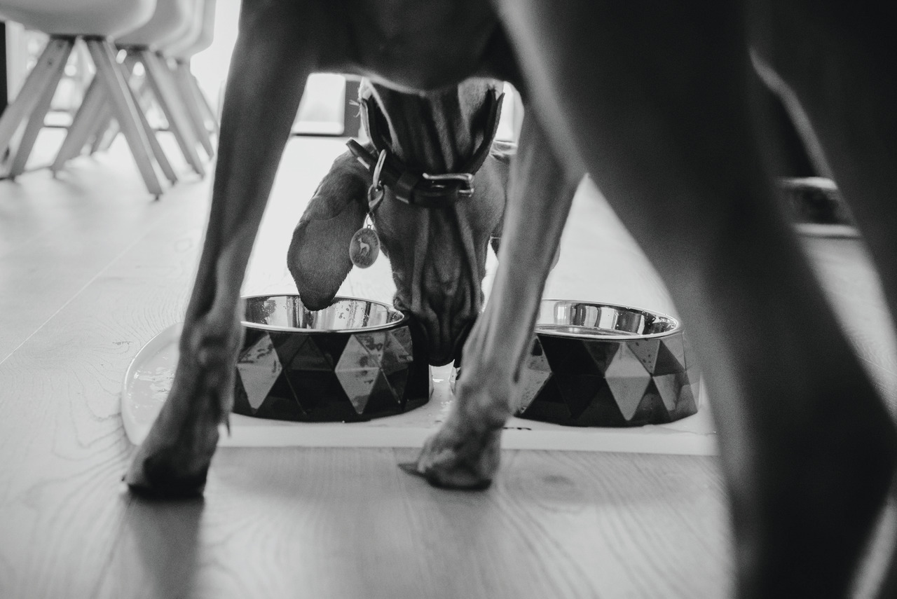 4016739614100 21 F857699272444f20