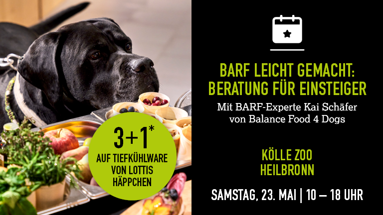 160526 Barf Heilbronn Mobile 768x432px