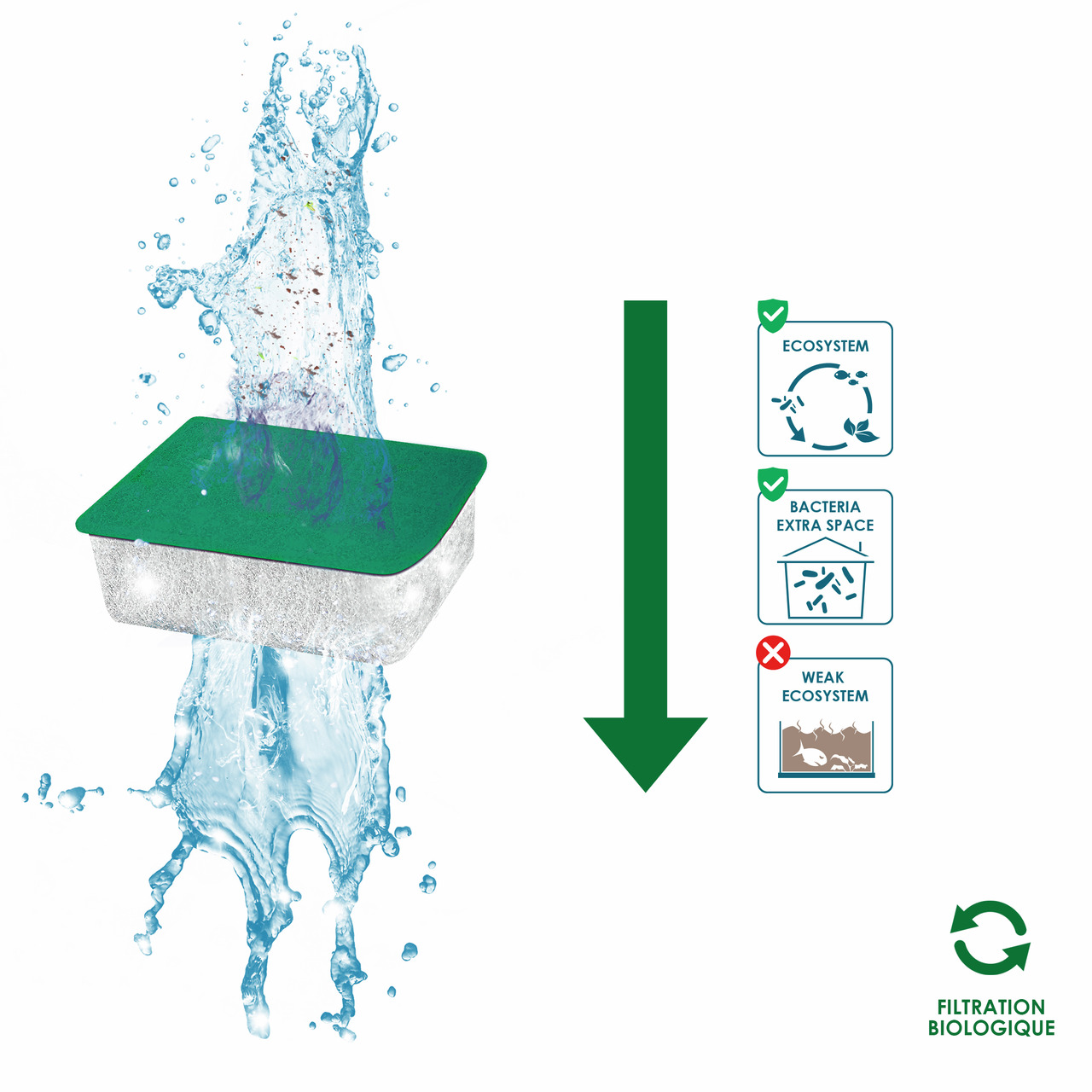 Ciano Filtereinsatz, Aquarium, biolog. Filtration, grüner Deckel, fördert Ökosystem, Bakterienraum, vermeidet schwaches Ökosystem.