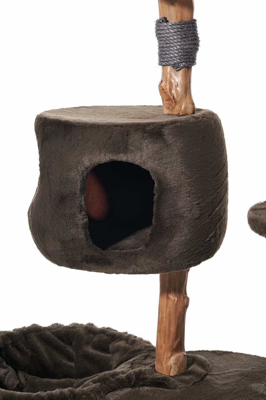 Nobby Kratzbaum für Katzen, Holzstamm mit Sisal, Plüsch dunkelbraun, ideal für Spiel, Ruhe & Kratzen.