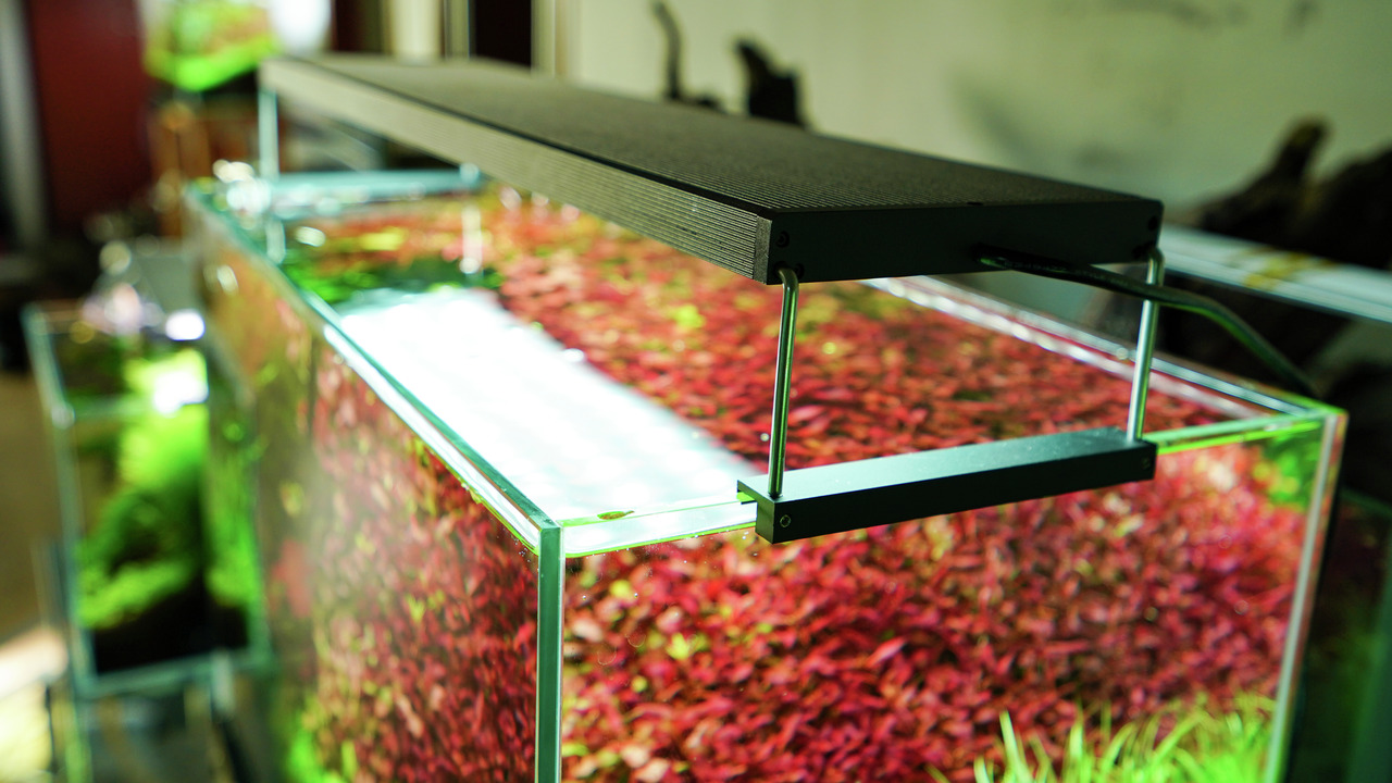 Chihiros WRGB II Aquarium-LED-Leuchte, ideal für Pflanzenwachstum, für Aquarien mit roten/grünen Pflanzen, hohe Lichtintensität.