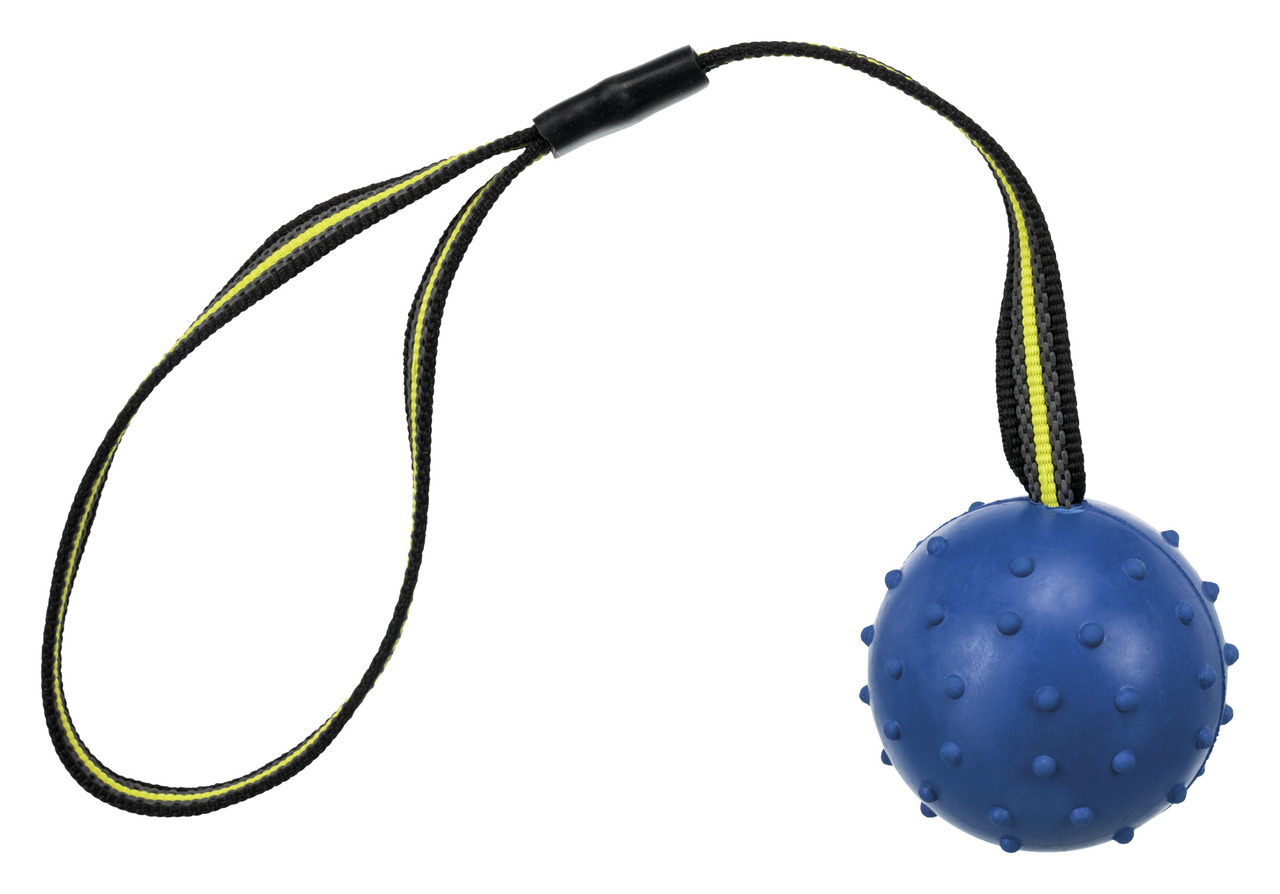 Blauer TRIXIE Gummiball mit Noppen und robustem, schwarz-gelbem Nylonband. Geeignet für Hunde aller Größen, ideal für Apportier- und Zerrspiele. Fördert Zahnpflege durch Noppenstruktur. Perfekt für interaktives Spielen und Training. EAN: 4011905328201.