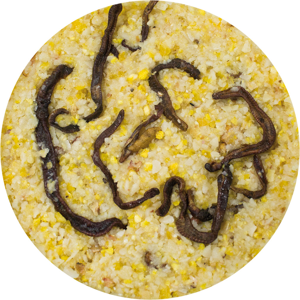 JR FARM Insekten-Snack für Wildvögel, nahrhafte Mischung aus Mehlwürmern & Körnern, proteinreich, 12 Stk.