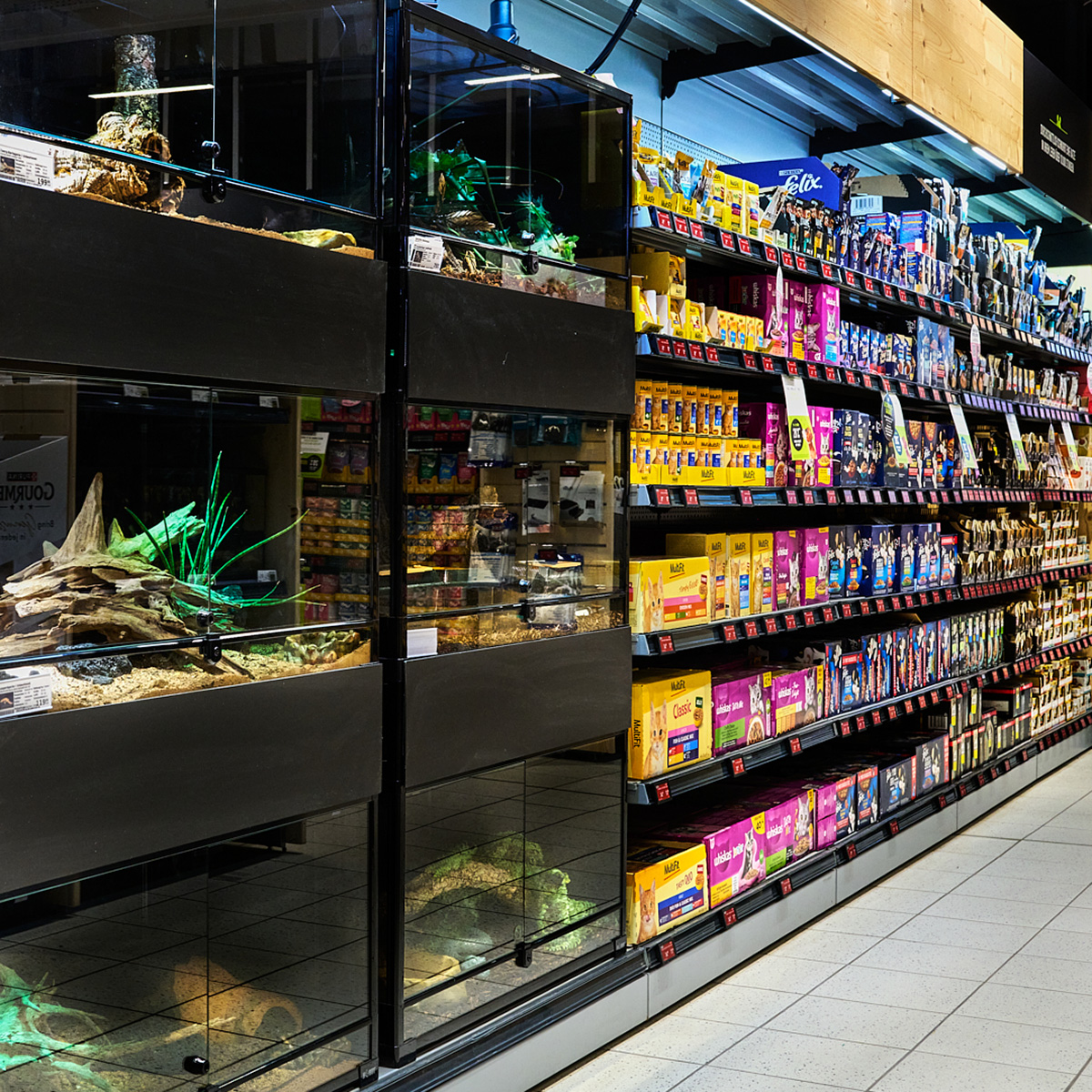 Regale Dsc6620 1200x1200px