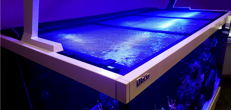 Red Sea Aquarium, Meerwasser, Netzabdeckung, Schutz vor Fischen, Belüftung, blaue LED, betont Korallen-Fische, hochwertig.